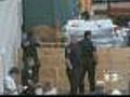 Deer Show Up At Bronx Target Store