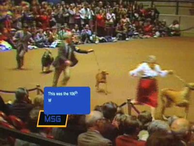 TXT MSG: Dog Show