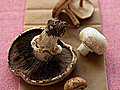 Guide to Wild Mushrooms