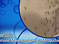 News: Humans Made Invisible to Mosquitoes