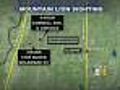 Mountain Lion Sightings In Metro Area