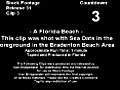 A Florida Beach (2007)