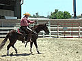 Access CA OC Fair 2009 Think Horse ecoc.org