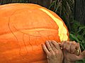 Carve Your Own Animal Pumpkin
