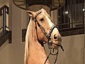 El caballo del vaquero Roy Rogers vendido por 266.500 dólares