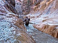 Beautiful Places in HD - Zion National Park: Zion Narrows