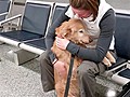 Dog Welcomes Mom Back From Afghanistan