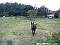 Donkey Wants What Cameraman Has