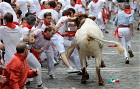 First running of the bulls in Pamplona
