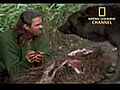 National Geographic Channel: A Man Among Wolves Trailer
