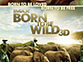 Born to be Wild 3D - 