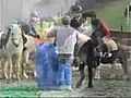 Ferme Equestre la Chenaie