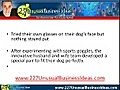 Business Ideas Involving Dogs