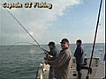 Compilation des sorties pêche au bar 2007-Captain OJ Fishing