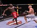 Cheick Kongo Finishes