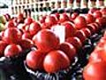 FDA Still Seeking Salmonella Origin In Tomatoes