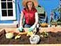 How To Plant a Vegetable Garden