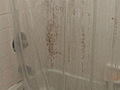 All-Natural Shower Curtain Mold Removal