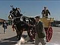 Shire Horse Spectacular