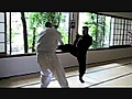 NINJUTSU FUDOSHIN DOJO KYOTO JAPAN