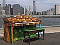 Play Me,  I’m Yours: An Outdoor Piano Project