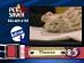 7/17 Pet Saver: Thomas the cat