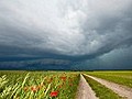 Tornado rast durch Kornfeld