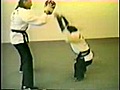 Karate monkey