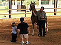 The Little Couple: A Horse Is A Horse,  Of Course, Of Course