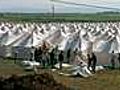 Syrian refugees flood Turkey