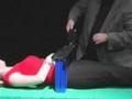 Saw Girl In Half Magic Trick (LearnMagicTricks.org)