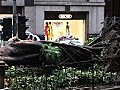 中區大樹倒塌　詹志勇相信因根部受損