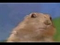 Dramatic Howard Dean Scream Chipmunk Prairie Dog Remix