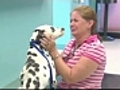 Tearful reunion: Woman,  dog reunited after a year apart