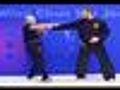 Wing Chun Biu Jee,  Part 1 - video