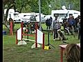 Nogent sur vernisson agility