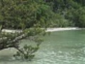 Blond woman exploring a wild tropical island amid unspoilt vegetation