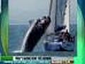 Headlines: Suspicious Packages; Whale Leap