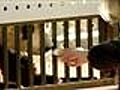 Giant panda carted up for China trip