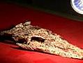 100-million-year-old crocodile fossil found in Thailand