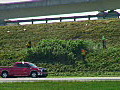 Royalty Free Stock Video HD Footage View of Roadways,  Bridges and Traffic on I-595 as Workers Cut Grass in South Florida