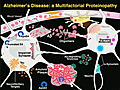 Multicausal Pathogenesis of Alzheimer’s Disease and Related Conditions