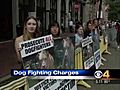 Vick's Co-Defendant Pleads Guilty In Dog Fighting Case
