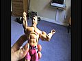 WWE Deluxe Wrestling Figures