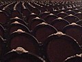 El Teatro Colón de Buenos Aires,  restaurado y listo para levantar el telón