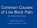 Seattle Back Pain- Causes of Low Back Pain