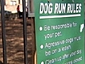 Dawn’s Pet Project: Dog Park Safety