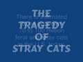 The Tragedy of Stray Cats