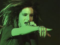 Tokio Hotel - 