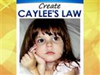 Proposed law inspired by Caylee’s disappearance